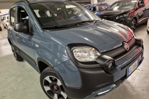 20260130_172001 (1024×768)